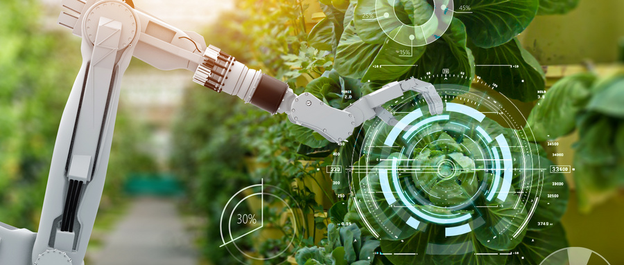 I(y)O(sh)Ӌ(j)I(y)W(xu)Щ