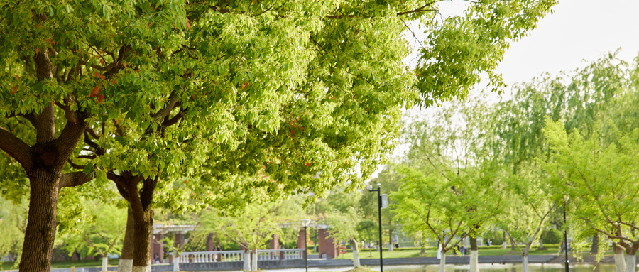 W(xu)ҕX_(d)O(sh)Ӌ(j)I(y)ĂW(xu)ã