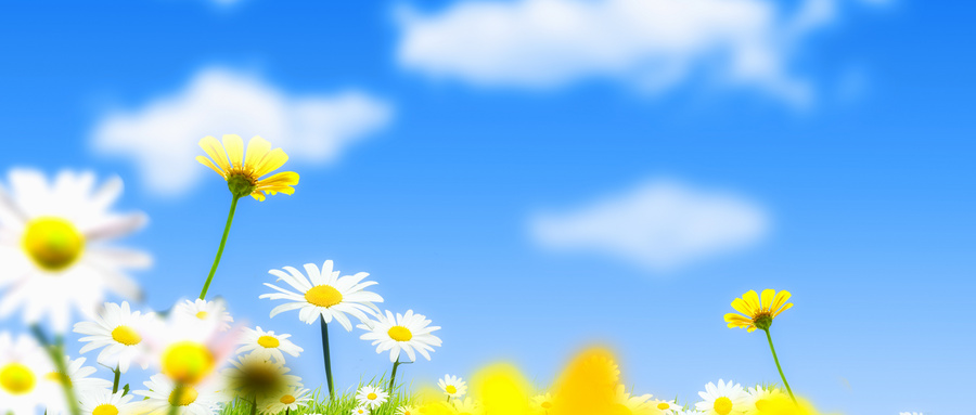 2024年最新藝術(shù)管理專(zhuān)業(yè)大學(xué)排名