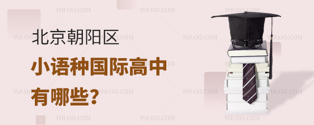 北京朝陽(yáng)區(qū)小語(yǔ)種國(guó)際高中有哪些