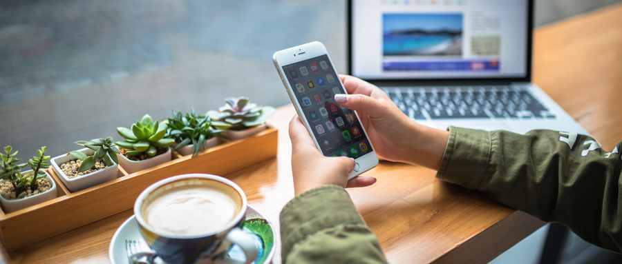 2024年最新全國漢語國際教育專業(yè)大學排名一覽表