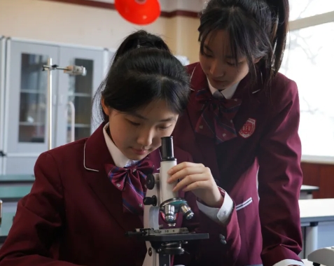 北京東方紅學(xué)校于5月12日舉行校園開(kāi)放日活動(dòng)！報(bào)名進(jìn)行中