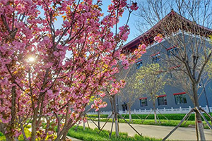 益田翰德學校2024年特長生招生簡章已發(fā)布！附開設(shè)專業(yè)