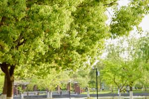 W(xu)ҕX_(d)O(sh)ӋI(y)ĂW(xu)ã