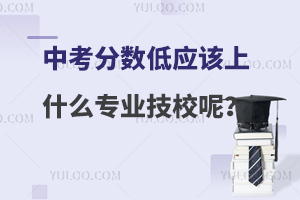 п?jn)?sh)͑(yng)ԓʲôI(y)У