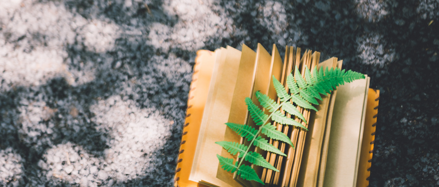 網(wǎng)絡(luò)空間安全專業(yè)新高考選科要求:高中生必選物理和化學(xué)