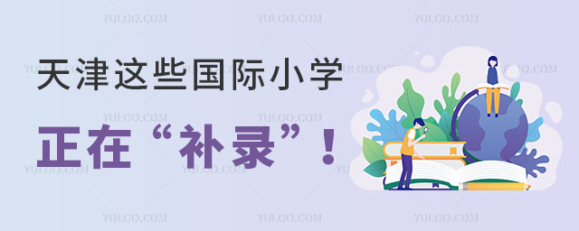 天津國際小學(xué)補(bǔ)錄