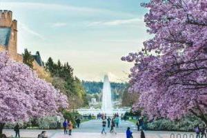 北京市朝陽區(qū)博雅學(xué)校可以自主招生嗎？了解學(xué)校招生方式！