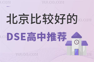 2024DSEɿ(j)l(f)^õDSE]