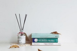 北京愛迪國際學校入學條件