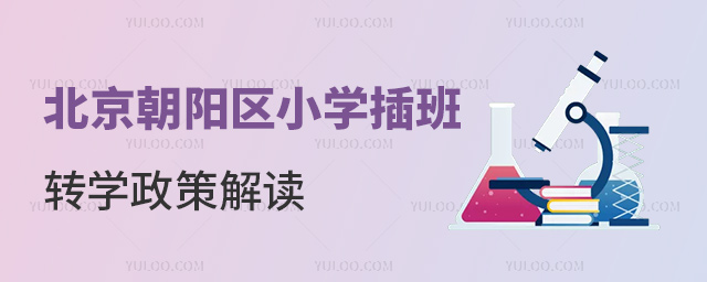 北京朝陽區(qū)小學插班轉(zhuǎn)學政策解讀