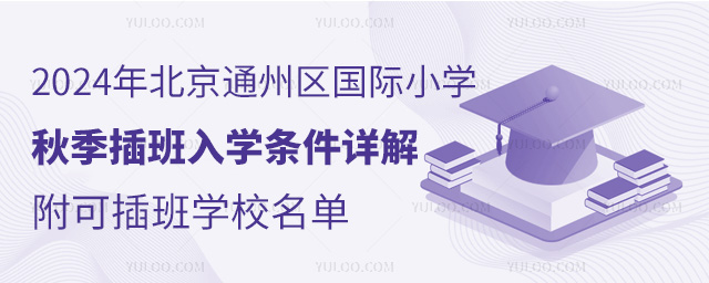 2024年北京通州區(qū)國際小學秋季插班入學條件