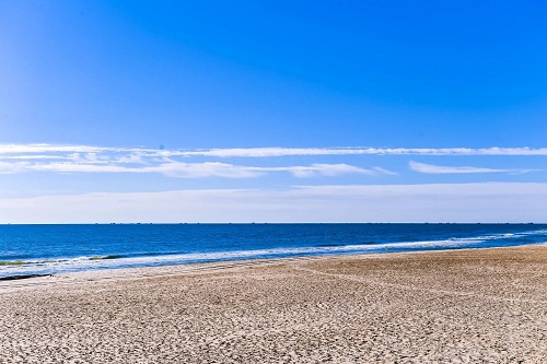 清華志清中學(xué)國際部藝術(shù)節(jié)