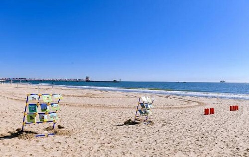 清華志清中學(xué)國際部藝術(shù)節(jié)