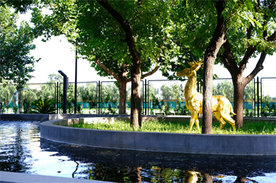 北京市通州區(qū)私立樹人學校