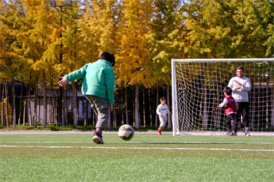 北京 市 通州區(qū)私立樹人學校