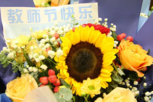 北京市豐臺區(qū)新北賦學(xué)校教師節(jié)暨教職工表彰大會！