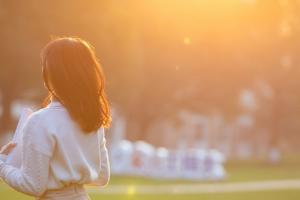 2024河北高考多少分能上石家莊信息工程職業(yè)學(xué)院？附招生專業(yè)