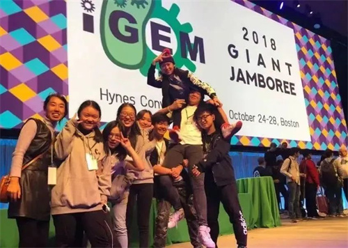 2025年北京外國語大學(xué)國際課程中心招生簡章