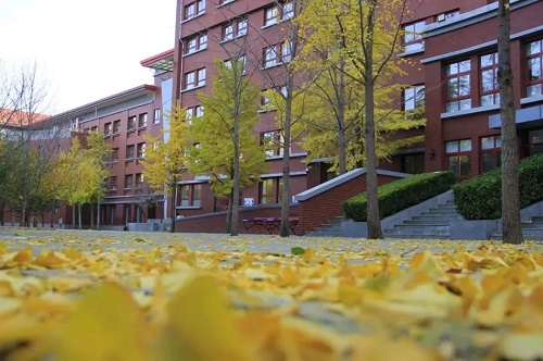 海淀外國語學校