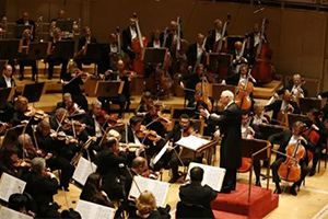 北京市通州區(qū)私立樹人學(xué)校成功舉辦音樂大師課！