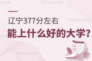 |߿377ʲôõĴW(xu)ͷ֌W(xu)У