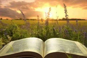 非京籍上北京東城區(qū)私立學(xué)校小升初入學(xué)政策