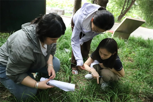 北外ICC劍橋優(yōu)秀教學(xué)成果獎