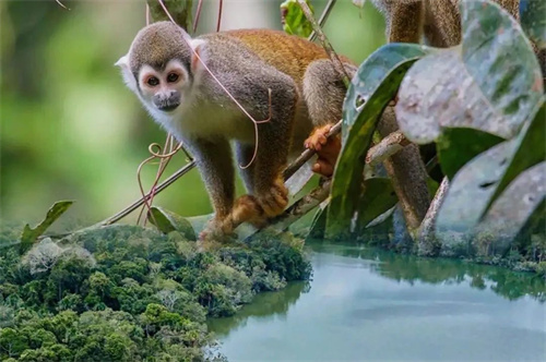 未來領(lǐng)導(dǎo)力學(xué)校中學(xué)部冬令營g