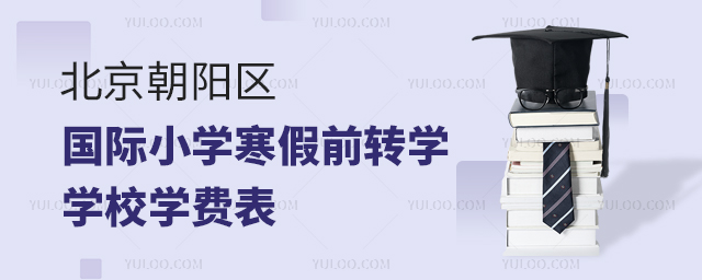 2024-2025年北京朝陽區(qū)國際小學寒假前轉學學校學費表
