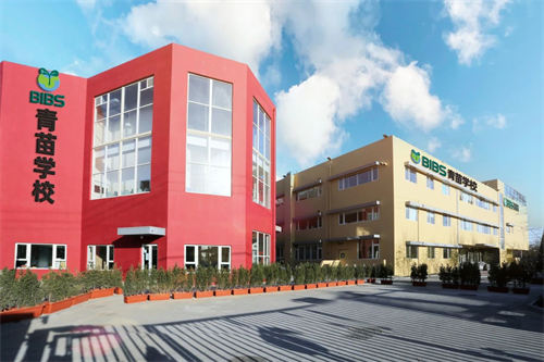 青苗學(xué)校閃耀中華國(guó)際文憑學(xué)校協(xié)會(huì)