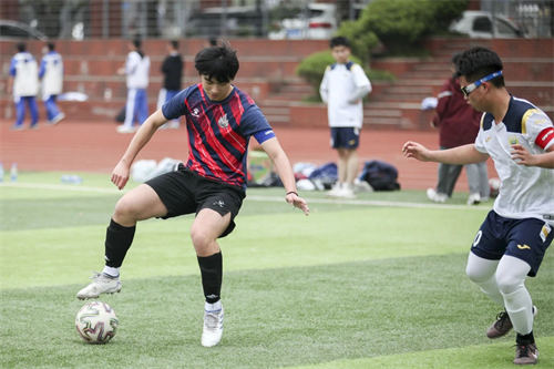 成都七中國際部家長的真實聲音