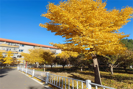 北京東方紅學(xué)校