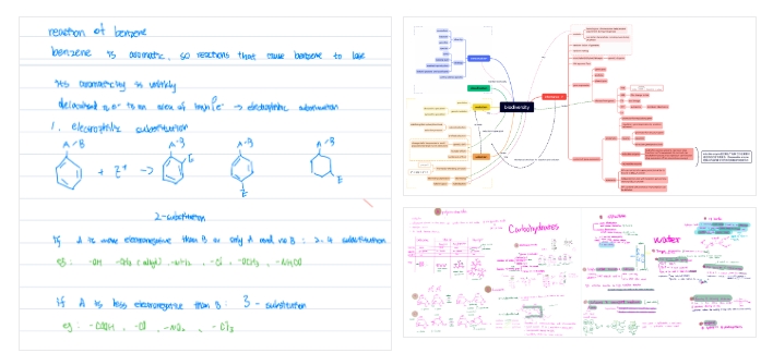 北外ICC學(xué)生專(zhuān)訪(fǎng):張迪予