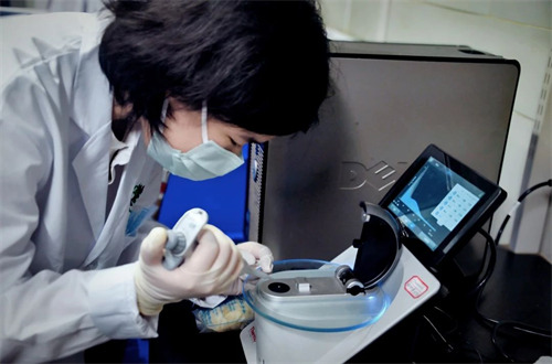 北外ICC學(xué)生專(zhuān)訪(fǎng):張迪予