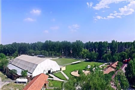 北京新府學(xué)外國語學(xué)校普高課程體系和國際課程體系有何不同？