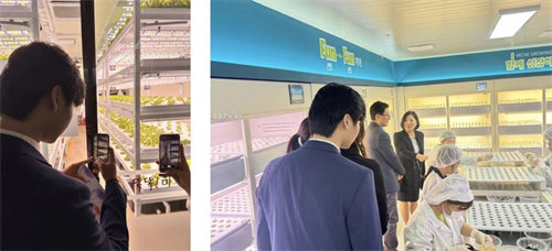 青苗CoFE未來教育中心