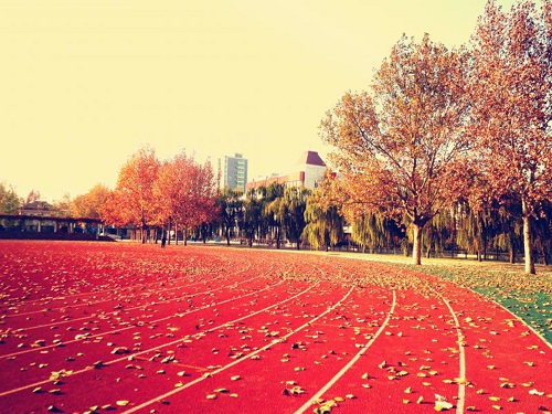 海南楓葉國(guó)際學(xué)校