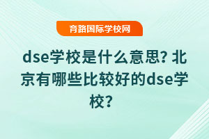 dseW(xu)Уʲô˼Щ^õdseW(xu)У