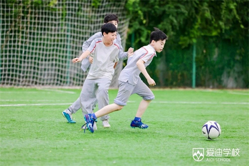 北京愛迪國際學(xué)校排名及收費情況