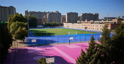 北京性價比高的Alevel高中