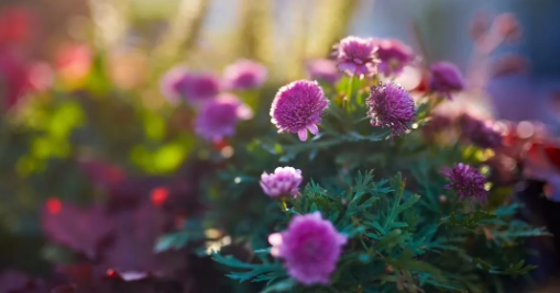 北麓書院學(xué)術(shù)交流