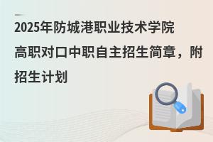 2025ǸI(y)gWԺӋ