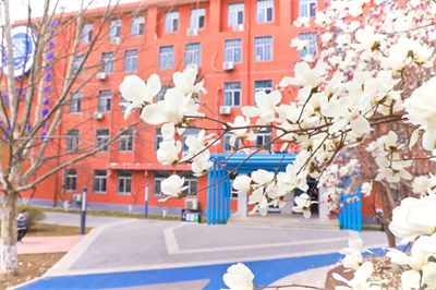 北京新府學外國語學校(國內班)高中用戶家長關注需求點整理，2025年擇校必讀