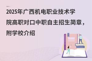 2025VC(j)I(y)g(sh)W(xu)Ժ(du)(jin)W(xu)УB