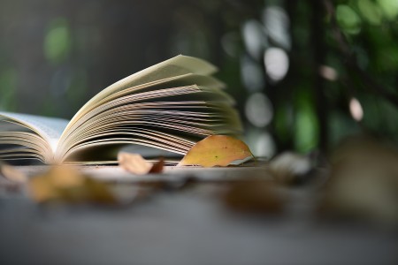 北京市朝陽區(qū)新亞學(xué)校3月份開放日預(yù)約中，國家督學(xué)&特級(jí)校長面對(duì)面！