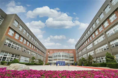 北京市新英才學(xué)校(國(guó)內(nèi)班)全面解析及2025年報(bào)考建議分享！