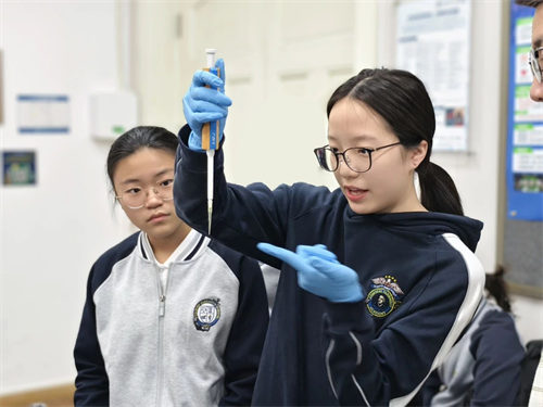 天津法拉古特學(xué)校錄取