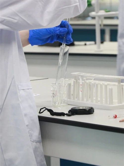 成都墨爾文學校開放日