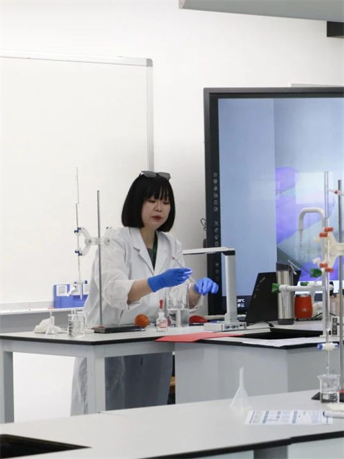 成都墨爾文學校開放日